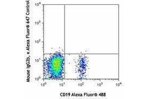Flow Cytometry (FACS) image for anti-Chemokine (C-C Motif) Receptor 6 (CCR6) antibody (Alexa Fluor 647) (ABIN2657669) (CCR6 抗体  (Alexa Fluor 647))