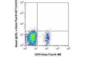 Flow Cytometry (FACS) image for anti-Chemokine (C-C Motif) Receptor 6 (CCR6) antibody (Alexa Fluor 647) (ABIN2657669) (CCR6 抗体  (Alexa Fluor 647))