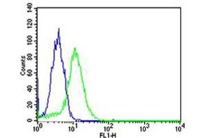 Flow cytometric analysis of Hela cells using TOP1 Antibody (N-term)(green, Cat(ABIN1882055 and ABIN2838496)) compared to an isotype control of mouse IgG1(blue). (Topoisomerase I 抗体  (N-Term))