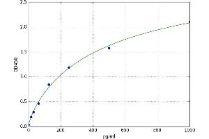 A typical standard curve (Klotho beta ELISA 试剂盒)