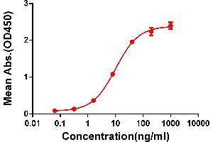 ELISA plate pre-coated by 2 μg/mL (100 μL/well) Human C protein, mFc-His tagged protein ABIN6961090, ABIN7042209 and ABIN7042210 can bind Rabbit anti-C monoclonal antibody (clone: DM50) in a linear range of 1-100 ng/mL. (Recombinant CTLA4 抗体  (AA 36-161))