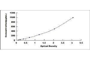 Typical standard curve (Iba1 ELISA 试剂盒)