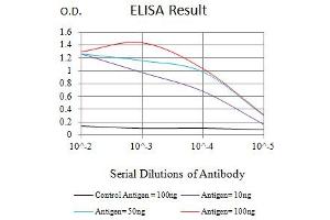 ELISA image for anti-GATA Binding Protein 3 (GATA3) (AA 287-301) antibody (ABIN7193550)
