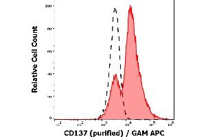 Separation of cells stained using anti-humam CD137 (4B4-1) purified antibody (concentration in sample 4 μg/mL, GAM APC, red-filled) from cells unstained by primary antibody (GAM APC, black-dashed) in flow cytometry analysis (surface staining) of human PHA stimulated peripheral blood mononuclear cell suspension .