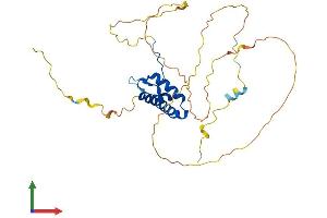 Protein Structure (PS) image for SRY (Sex Determining Region Y)-Box 12 (SOX12) (AA 1-314) protein (His tag) (ABIN7556892)