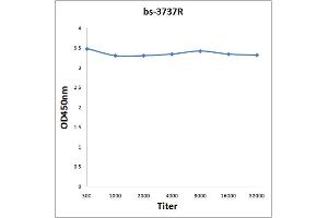 Antigen: 0. (PPARG 抗体  (pSer112))