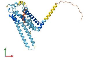 AlphaFold protein structure predicition of Mouse Recombinant Lpar2 Protein, UniprotID Q9JL06