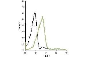 Cell surface detection of LTB4R in live intact human T cell leukemia (Jurkat) cell line: (black line) Control cells + goat-anti-rabbit-Cy5. (Leukotriene B4 Receptor/BLT 抗体  (2nd Extracellular Loop))