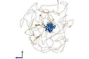Protein Structure (PS) image for Insulin Receptor Substrate 2 (IRS2) (AA 1-1321) protein (His tag) (ABIN7563536)