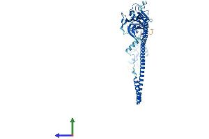 Protein Structure (PS) image for Tripartite Motif Containing 72 (TRIM72) (AA 1-477) protein (His tag) (ABIN7555830)