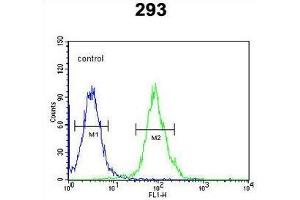 TPH2 Antibody (Center) flow cytometric analysis of 293 cells (right histogram) compared to a negative control cell (left histogram). (Tryptophan Hydroxylase 2 抗体  (Middle Region))