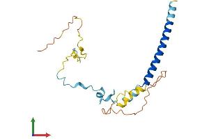 Protein Structure (PS) image for Methyl-CpG Binding Domain Protein 3-Like 1 (MBD3L1) (AA 1-186) protein (His tag) (ABIN7561170)