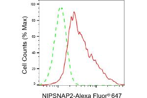 Flow cytometric analysis of NIPSNAP2 expression in HepG2 cells using NIPSNAP2 antibody (ABIN7798724), 1:2,000). (GBAS 抗体)
