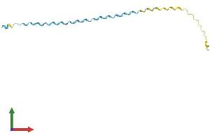 Protein Structure (PS) image for Small Proline-Rich Protein 2B (SPRR2B) (AA 1-98) protein (His tag) (ABIN7562564)