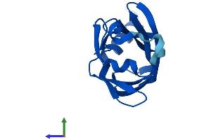 Protein Structure (PS) image for phosphodiesterase 6D, CGMP-Specific, Rod, delta (PDE6D) (AA 1-150) protein (His tag) (ABIN7562472)
