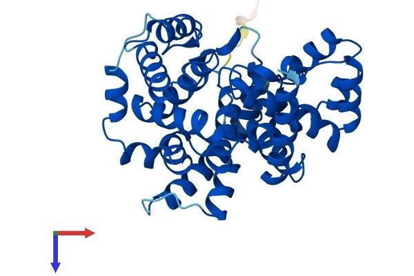 GRTP1 Protein (AA 1-336) (His tag)
