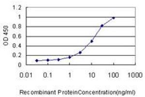 Detection limit for recombinant GST tagged MAP3K7 is approximately 1ng/ml as a capture antibody. (MAP3K7 抗体  (AA 1-579))