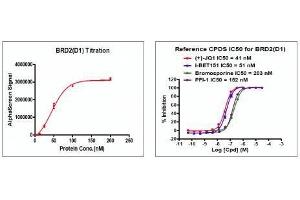 Recombinant BRD2 (71-194) activity using AlphaScreen.