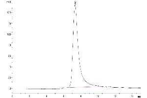 Size-exclusion chromatography-High Pressure Liquid Chromatography (SEC-HPLC) image for Killer Cell Immunoglobulin-Like Receptor, three Domains, Long Cytoplasmic Tail, 2 (KIR3DL2) (AA 22-339) protein (His-Avi Tag) (ABIN7275102)
