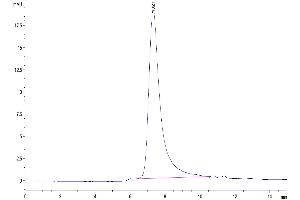 The purity of Human KIR3DL2 is greater than 95 % as determined by SEC-HPLC. (KIR3DL2 Protein (AA 22-339) (His-Avi Tag))