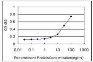 ELISA image for anti-CD177 Molecule (CD177) antibody (ABIN781918)