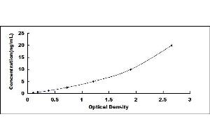 Typical standard curve (RCN2 ELISA 试剂盒)