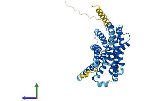 AlphaFold protein structure predicition of Mouse Recombinant Gpr183 Protein, UniprotID Q3U6B2