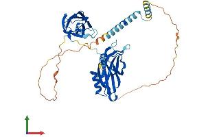 Protein Structure (PS) image for Synaptotagmin II (SYT2) (AA 1-422) protein (His tag) (ABIN7563272)