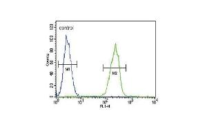 SERPINA7 Antibody (C-term) (ABIN390670 and ABIN2840965) flow cytometric analysis of MDA-M cells (right histogram) compared to a negative control cell (left histogram). (SERPINA7 抗体  (C-Term))