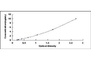 Typical standard curve (TIMD4 ELISA 试剂盒)