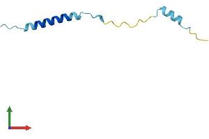 AlphaFold protein structure predicition of Mouse Recombinant Mtatp8 Protein, UniprotID P03930