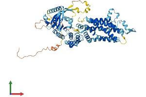 Protein Structure (PS) image for ATP-Binding Cassette, Sub-Family G (WHITE), Member 8 (ABCG8) (AA 1-673) protein (His tag) (ABIN7551764)