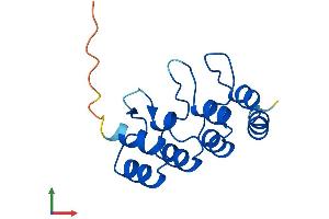 Protein Structure (PS) image for Cyclin-Dependent Kinase Inhibitor 2B (p15, Inhibits CDK4) (CDKN2B) (AA 1-138) protein (His tag) (ABIN7553067)