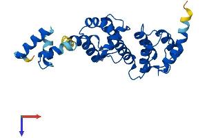 Protein Structure (PS) image for Defective in Cullin Neddylation 1, Domain Containing 1 (DCUN1D1) (AA 1-259) protein (His tag) (ABIN7561817)