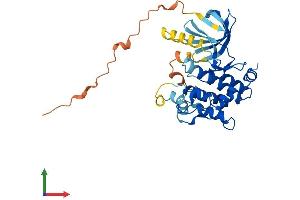 Protein Structure (PS) image for Mitogen-Activated Protein Kinase Kinase 6 (MAP2K6) (AA 1-334) protein (His tag) (ABIN7563517)