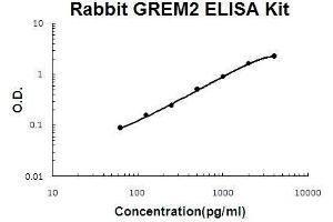 GREM2 ELISA 试剂盒