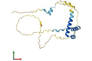 AlphaFold protein structure predicition of Human Recombinant GSC2 Protein, UniprotID O15499