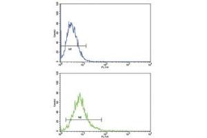ATF6 antibody flow cytometric analysis of K562 cells (bottom histogram) compared to a negative control (top histogram). (ATF6 抗体  (AA 350-377))