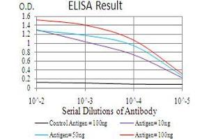 Black line: Control Antigen (100 ng), Purple line: Antigen(10 ng), Blue line: Antigen (50 ng), Red line: Antigen (100 ng), (rala 抗体  (AA 71-203))