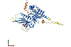 Protein Structure (PS) image for serine/threonine Kinase 40 (STK40) (AA 1-435) protein (His tag) (ABIN7546479)