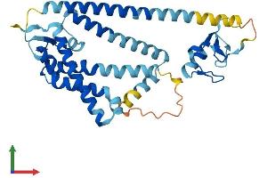 Protein Structure (PS) image for Peroxisomal Biogenesis Factor 10 (PEX10) (AA 1-326) protein (His tag) (ABIN7550744)
