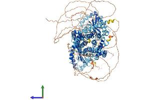 AlphaFold protein structure predicition of Mouse Recombinant Disp2 Protein, UniprotID Q8CIP5 (DISP2 Protein (AA 1-1345) (His tag))