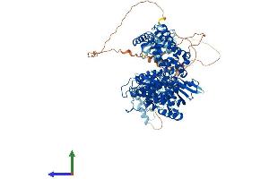 Protein Structure (PS) image for Recombination Activating Gene 1 (RAG1) (AA 1-1040) protein (His tag) (ABIN7562894)