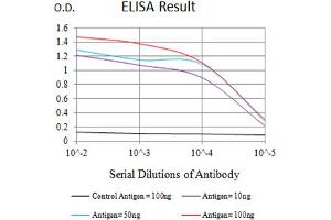 Black line: Control Antigen (100 ng),Purple line: Antigen (10 ng), Blue line: Antigen (50 ng), Red line:Antigen (100 ng) (CD276 抗体  (AA 29-466))