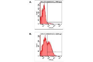 Detection of endogenous human LAG-3 by FACS analysis using anti-LAG-3 (human), mAb (17B4) (ATTO 488) . (LAG3 抗体  (N-Term) (Atto 488))
