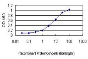 Detection limit for recombinant GST tagged DNM2 is approximately 0. (DNM2 抗体  (AA 611-710))