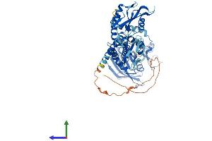 Protein Structure (PS) image for Protein-tyrosine Phosphatase 1C (PTPN6) (AA 1-595) protein (His tag) (ABIN7563072)