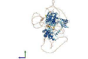 Protein Structure (PS) image for Pleckstrin Homology Domain Containing, Family M (With RUN Domain) Member 1 (PLEKHM1) (AA 1-1056) protein (His tag) (ABIN7554955)