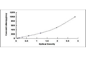 Typical standard curve (AQP9 ELISA 试剂盒)