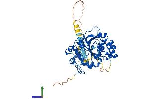 Protein Structure (PS) image for Glycosyltransferase 8 Domain Containing 1 (GLT8D1) (AA 1-371) protein (His tag) (ABIN7557953)